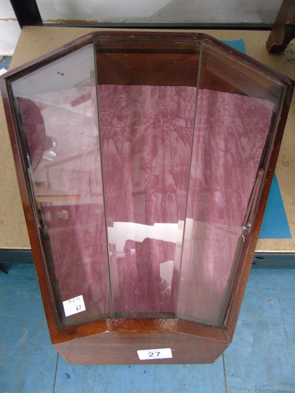 GLASS AND WOOD SHELL-SHAPED DISPLAY CASE