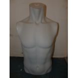 MALE TORSO MANNEQUIN