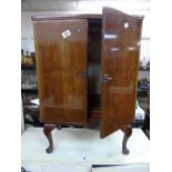 X 2 DOOR MUSIC CABINET