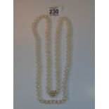 LONG CULTURED PEARL NECKLACE WITH GOLD CLASP