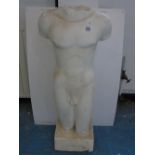 PLASTER TORSO