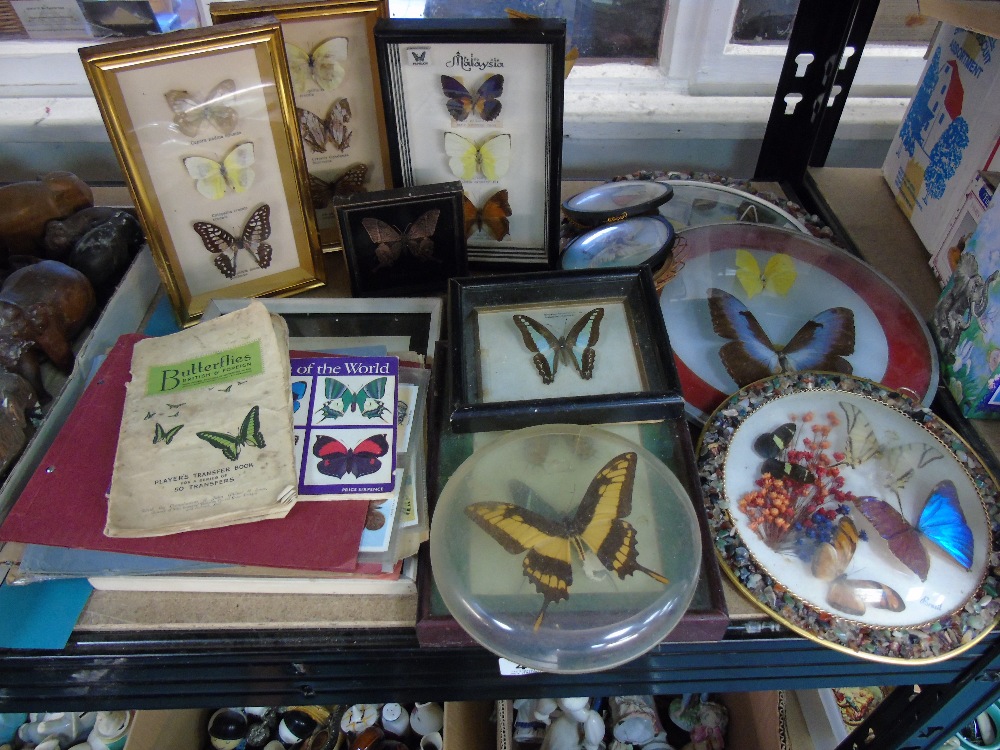 LARGE COLLECTION OF BUTTERFLY RELATED ITEMS