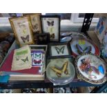 LARGE COLLECTION OF BUTTERFLY RELATED ITEMS