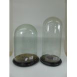 2 GLASS DOMES & BASES