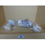 SELECTION OF TROPICAL SEA SHELLS & GLASS DISH