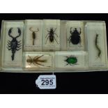 7 RESIN CASED INSECTS