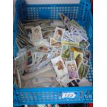 QUANTITY OF TEA & CIGARETTE CARDS