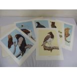 K.B. Newman folio of polychromatic prints of birds limited edition 25/1200