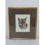 Simon Turvey framed watercolour of a Fox, signed bottom left - 24.5 x 19.5cm