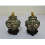 Pair of Cloisonn‚ vases, the pull off covers with gilded dog of foe finials on hardwood stands