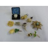 A quantity of costume jewellery brooches  (9)