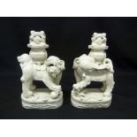 A pair of Oriental blanc de chine Dogs of Foe A/F
