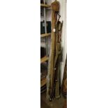 Collection of split cane and other Vintage fishing rods.