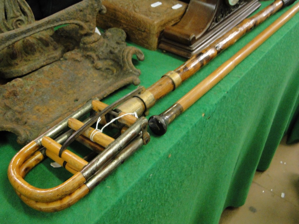 A bamboo and cane shooting stick and a horn handled walking stick,