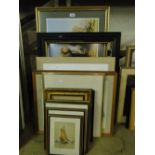 Framed photographs and pictures.