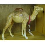 A Beswick camel.