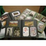 Three albums containing over 700 Vintage postcards.