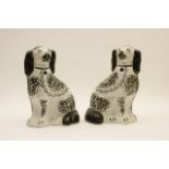 Pair of Victorian Staffordshire pottery spaniels, decorated in black and white,