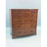 An early Victorian mahogany bow-fronted chest, shallow upper drawer above two short and three long