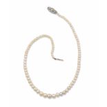 A natural pearl and diamond necklace fermezza con diamanti. Relazione di analisi e radiografia R.A.