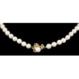 A modern single strand cultured pearl necklace with 14ct gold diamond and pearl set clasp, 850mm