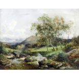 David Bates (1840-1921) - Oil painting - "A Scotch Burn. Dumbartonshire", canvas 14ins x 18ins,