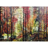 *** Derek Gordon Johnson (20th Century) - Oil painting - Woodland scene, panel 24ins x 32ins,