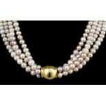 A modern four strand freshwater lavender pink and white pearl choker with gold coloured metal