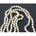 CONTINUOUS STRAND OF 149 UNIFORM CULTURED PEARLS, 6.5mm diameter, 22 ½" (57cm) long