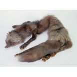 1940s SILVER FOX FUR STOLE, with head and tail, A BROWN MINK FUR STOLE, with five pendant tails