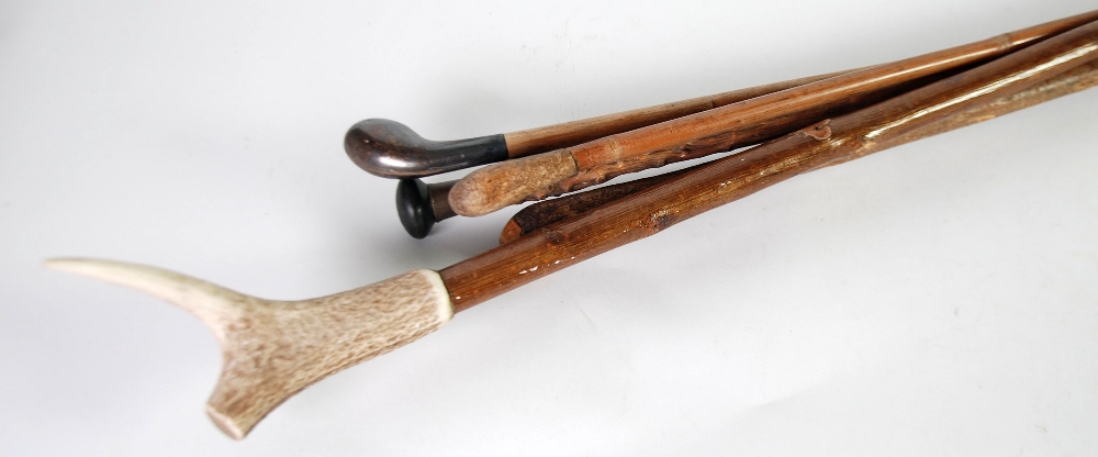 WALKING STICK with antler handle and FIVE OTHERS (6)