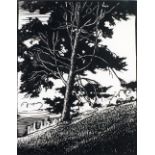 THOMAS B PITFIELD PAIR OF WOODCUTS IN BLACK AND WHITE 'Scots Pine' and 'Millingtonias' Signed and