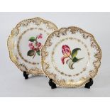 PAIR OF NINETEENTH CENTURY CHAMBERLAINS WORCESTER HAND PAINTED PORCELAIN PLATES, well painted with