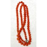 GRADUATED CORAL BEAD NECKLACE, formed of 95 off round graduated coral beads, 4.8mm-8.4mm diameter,