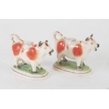 PAIR OF 19th CENTURY STAFFORDSHIRE POTTERY COW CREAMER AND COVERS of typical form, with burnt orange