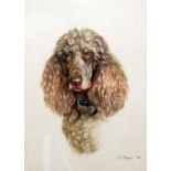 L.S. DAWSON (20TH CENTURY) PASTEL DRAWING ON BUFF PAPER Head study of a brown poodle Signed and