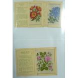 LARGE QUANTITY OF CIGARETTE AND TRADE CARDS, IN CLEAR PLASTIC POCKETS, Lyons Maid - 'Stamp in a