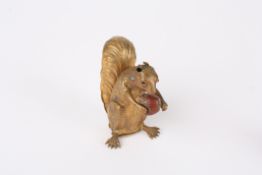 A Victorian unusual brass wind up brass tape measure in the form of a squirrelin a standing pose