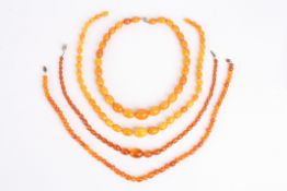 Three natural Baltic butterscotch amber necklaces, two of oval, polished and graduated beads, one of