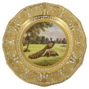 A Stevens & Hancock Derby painted cabinet plate decorated with a scene of a peacock standing on a