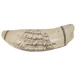 A carved Scrimshaw sperm whale tooth carved with a tea clipper in full sail, 'Ship Barclay of