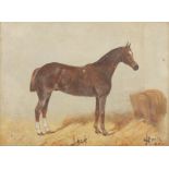 George Paice (1854-1925) British A pair of paintings of race horses 'Jack' and 'Lady Ronald', signed