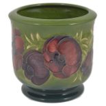 A Moorcroft Anemone cylindrical planter decorated with tube lined red flowers on a green ground.