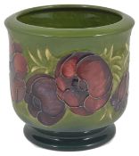 A Moorcroft Anemone cylindrical planter decorated with tube lined red flowers on a green ground.