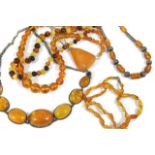 A selection of Baltic amber necklaces and beads and a butterscotch amber pendant on chain. Largest