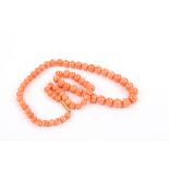 A Victorian graduated coral necklace the largest bead measuring 7.5mm, 15ct gold clasp 40cm long.