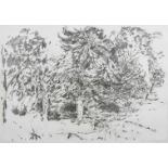 Sarah Medway (20th century) British Hampstead Heath, a pencil sketch of trees, signed and dated 12.