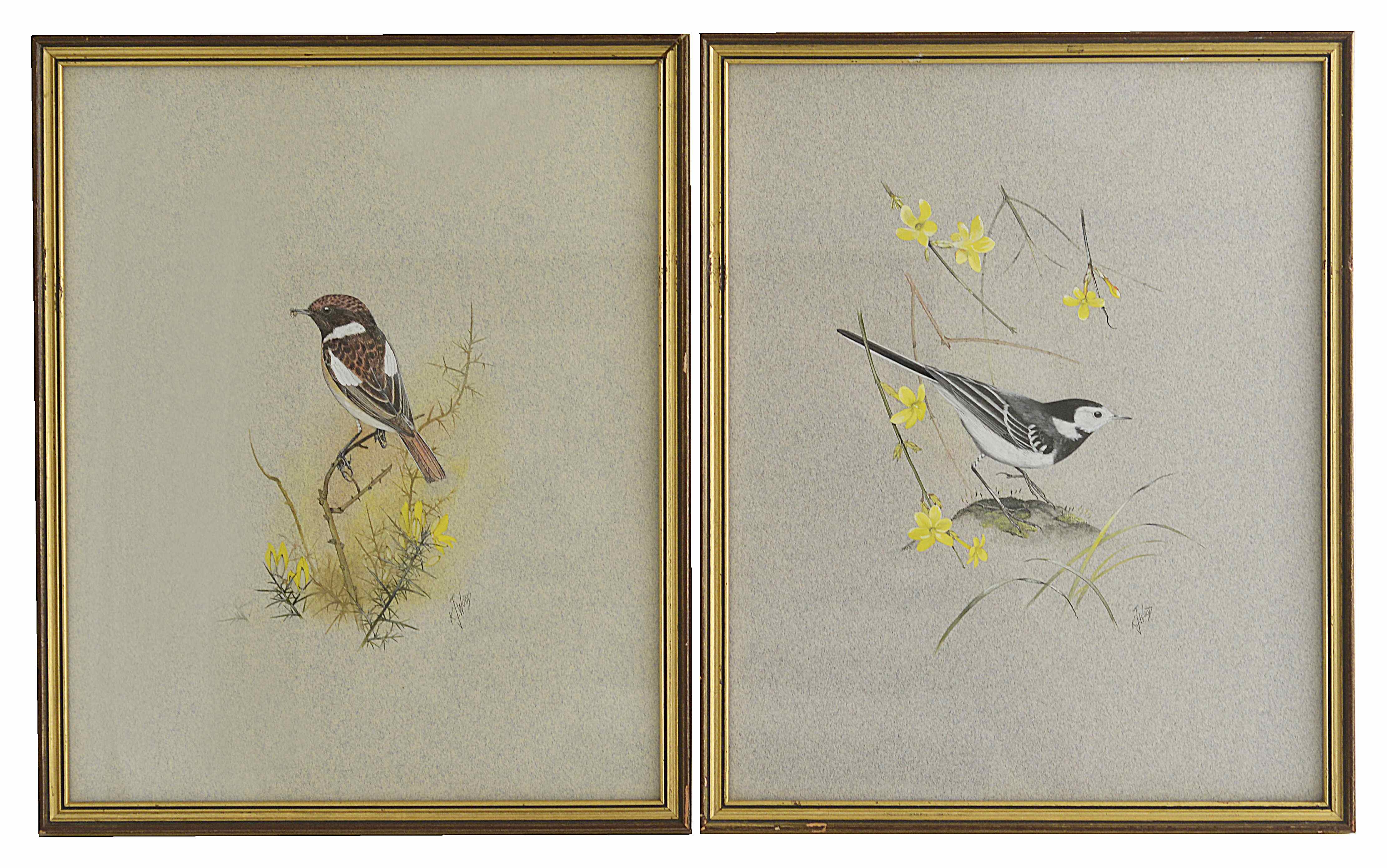 K.J Wood (British ) A pair of watercolours of birds the first depicting a plied wagtail