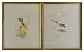 K.J Wood (British ) A pair of watercolours of birds the first depicting a plied wagtail