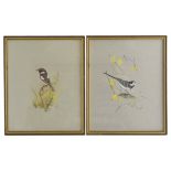 K.J Wood (British ) A pair of watercolours of birds the first depicting a plied wagtail